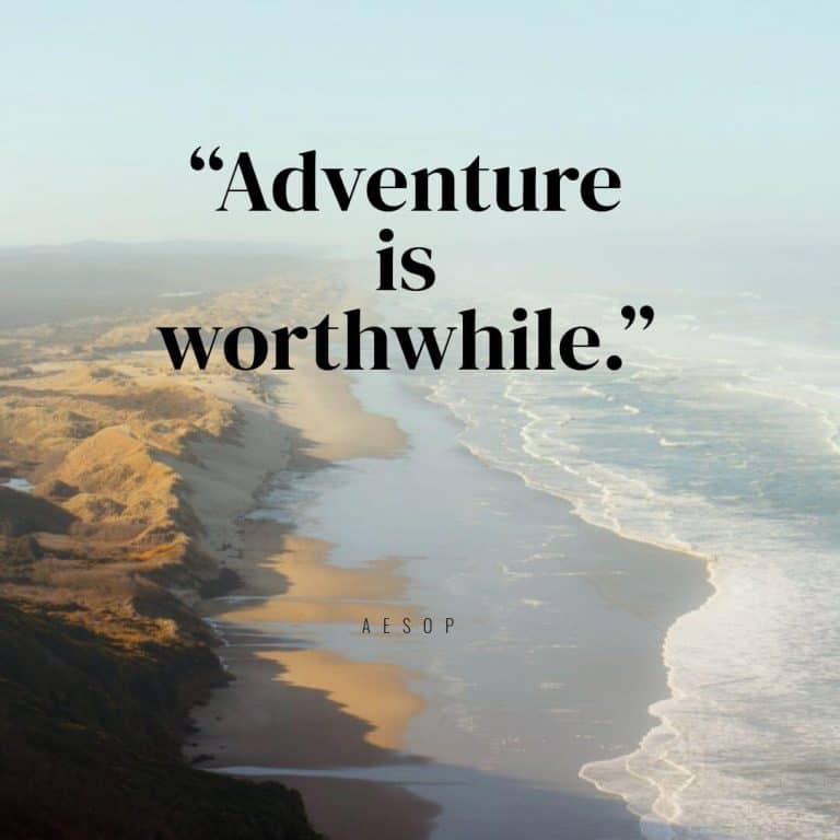 41 Best Hiking Quotes For Adventure Seekers | Hiking Soul