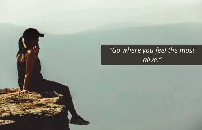 Go where you feel the most alive