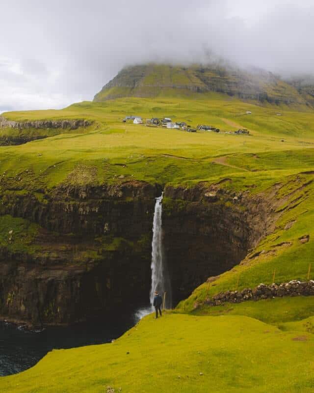 Green Grass in Nature