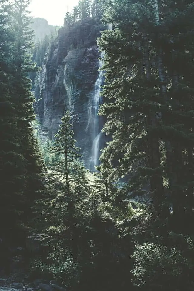 Trees and Waterfall